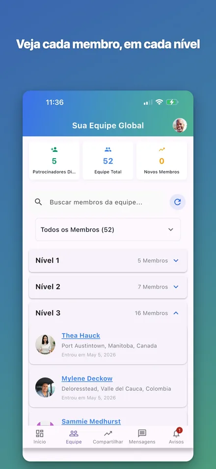 Cada membro, cada nível